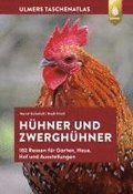 Taschenatlas Hhner und Zwerghhner