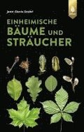 Einheimische Bäume und Sträucher