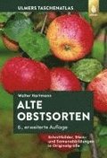 Alte Obstsorten