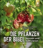 Wolfgang Kawollek, Henning Falk - Die Pflanzen der Bibel, Häftad