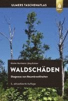 Waldschden