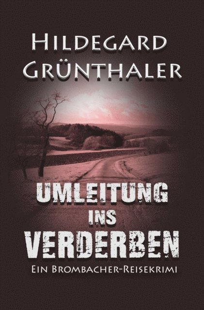 Hildegard Grunthaler - Umleitung ins Verderben, E-bok. Tillgänglighet: Lägg i varukorg