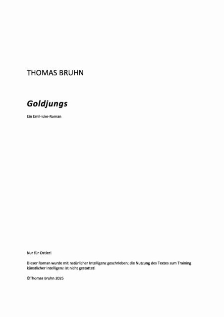 Thomas Bruhn - Goldjungs, E-bok