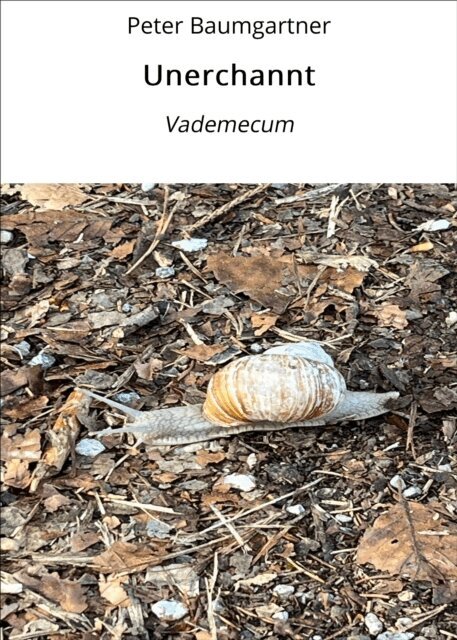Peter Baumgartner - Unerchannt, E-bok