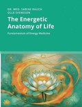 Energetic Anatomy of Life