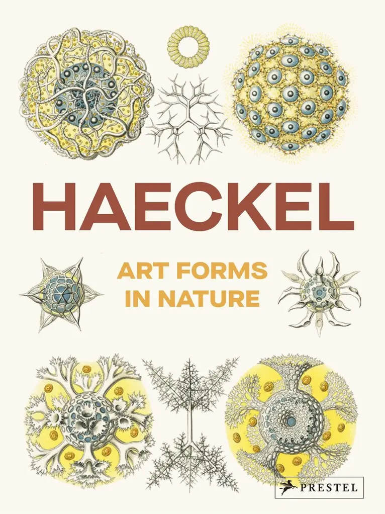 Olaf Breidbach - Art Forms in Nature, Inbunden. Tillgänglighet: Kommande