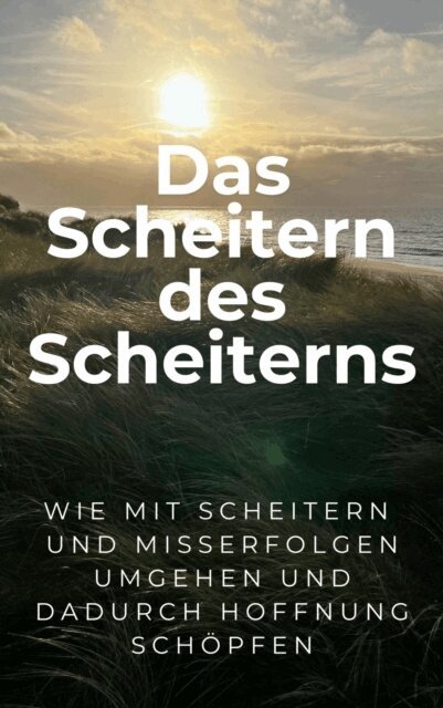 Martin Falk - Das Scheitern des Scheiterns, E-bok