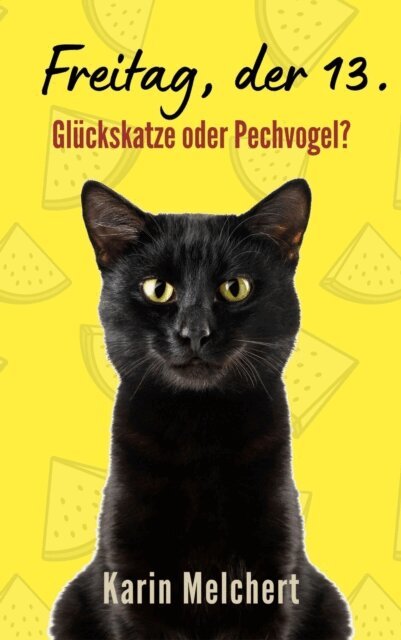 Karin Melchert - Freitag, der 13., E-bok
