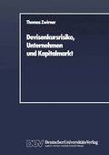 Devisenkursrisiko, Unternehmen und Kapitalmarkt