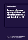 Konzernrechnungslegungspflichten bei Betriebsaufspaltung und GmbH & Co. KG