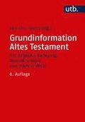 Grundinformation Altes Testament: Eine Einfuhrung in Literatur, Religion Und Geschichte Des Alten Testaments
