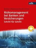 Risikomanagement bei Banken und Versicherungen Schritt f�r Schritt