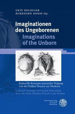 Burkhard Dohm, Urte Helduser - Imaginationen Des Ungeborenen / Imaginations of the Unborn: Kulturelle Konzepte Pranataler Pragung Von Der Fruhen Neuzeit Zur Moderne / Cultural Conce, Inbunden