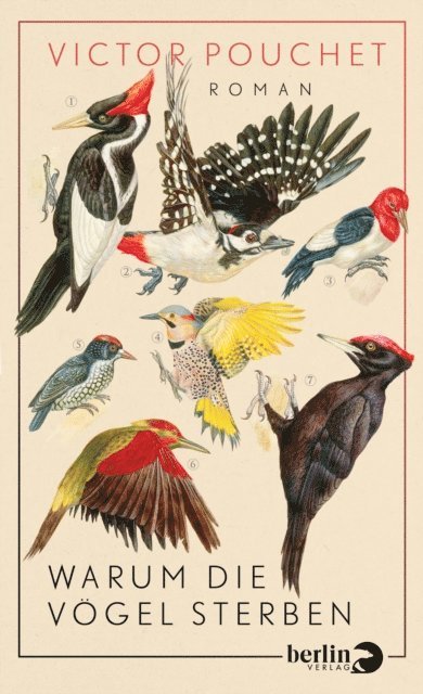 Victor Pouchet - Warum die Vögel sterben, E-bok