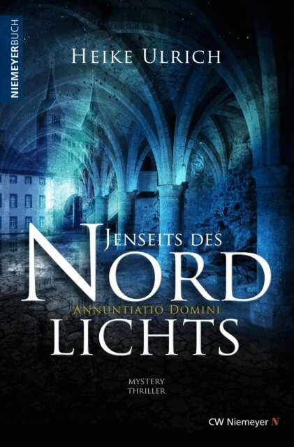 Heike Ulrich - Jenseits des Nordlichts, E-bok