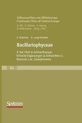 Swasserflora von Mitteleuropa, Bd. 02/4: Bacillariophyceae