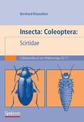 Insecta: Coleoptera: Scirtidae