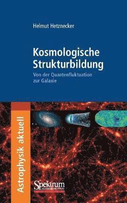 Helmut Hetznecker - Kosmologische Strukturbildung, Häftad