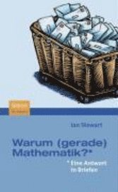 Ian Stewart - Warum (Gerade) Mathematik?: Eine Antwort in Briefen, Häftad