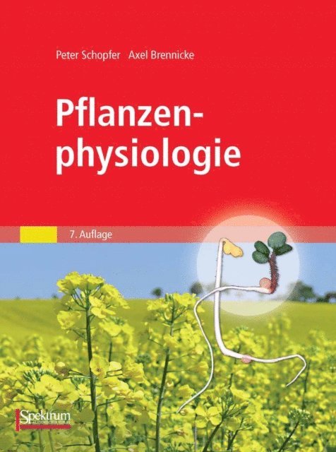 Axel Brennicke, Peter Schopfer - Pflanzenphysiologie, E-bok