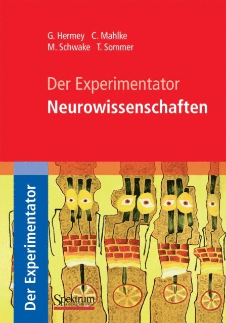 Tobias Sommer, Michael Schwake, Claudia Mahlke, Guido Hermey - Der Experimentator: Neurowissenschaften, E-bok