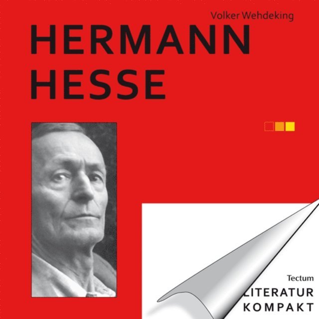 Volker Wehdeking, Gunter E. Grimm - Literatur Kompakt: Hermann Hesse, E-bok