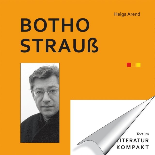 Helga Arend - Literatur Kompakt: Botho Strauß, E-bok