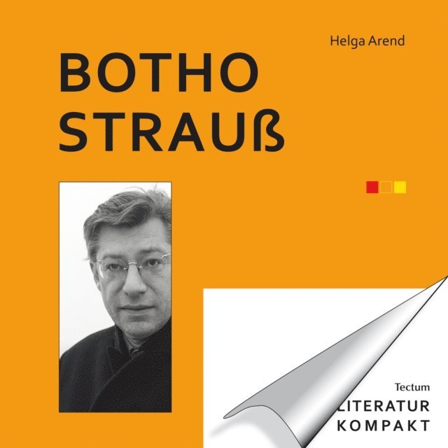 Helga Arend - Literatur Kompakt: Botho Strauß, E-bok