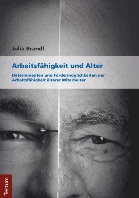 Julia Brandl - Arbeitsfähigkeit und Alter, E-bok