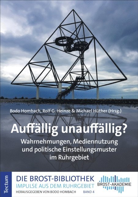 Michael Huther, Rolf G. Heinze, Bodo Hombach - Auffällig unauffällig?, E-bok