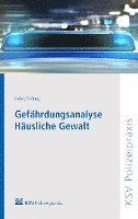 Andreas Derks, Sebastian Frießnegg - Gefährdungsanalyse Häusliche Gewalt, Häftad