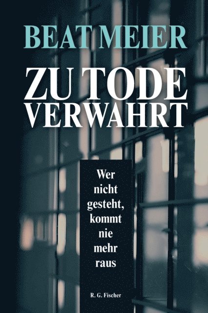 Beat Meier - Zu Tode verwahrt, E-bok