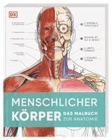 DK Verlag - Menschlicher Körper, Häftad