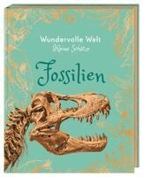 Dean Lomax, DK Verlag - Kids - Wundervolle Welt - Kleine Schätze. Fossilien, Inbunden. Tillgänglighet: Lägg i varukorg