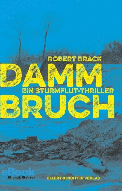 Robert Brack - Dammbruch, E-bok