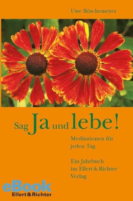 Uwe Boschemeyer - Sag Ja und lebe!, E-bok