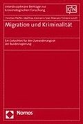 Migration Und Kriminalitat: Ein Gutachten Fur Den Zuwanderungsrat Der Bundesregierung