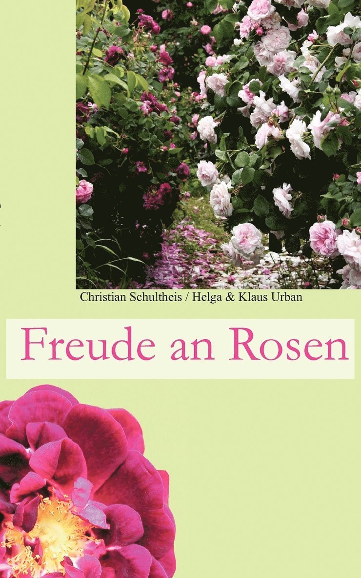 Freude an Rosen