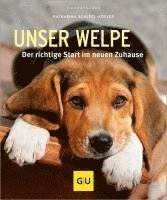 Unser Welpe