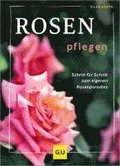 Rosen pflegen