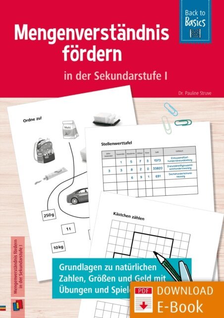 Pauline Struve - Mengenverstandnis fordern in der Sekundarstufe I, E-bok