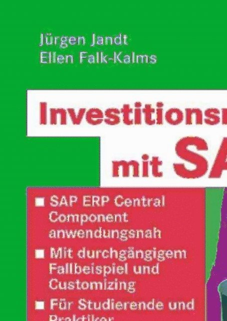 Ellen Falk-Kalms, Jurgen Jandt - Investitionsmanagement mit SAP®, E-bok