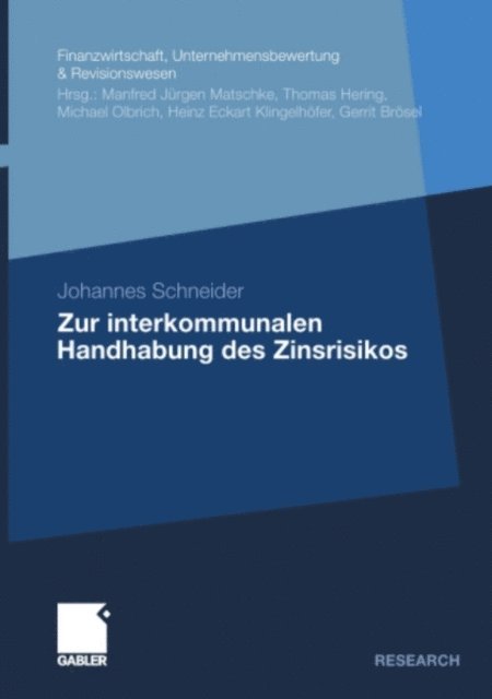 Johannes Schneider - Zur interkommunalen Handhabung des Zinsrisikos, E-bok
