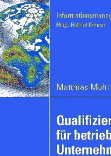 Matthias Mohr - Qualifizierungsstrategien für betriebswirtschaftliche Unternehmenssoftware, E-bok