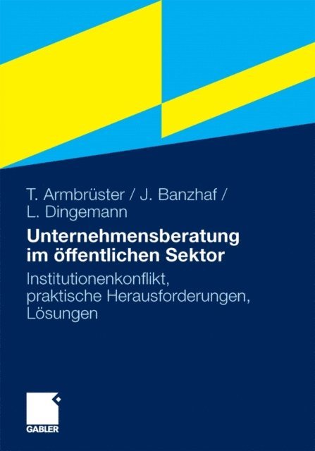 Lars Dingemann, Johannes Banzhaf, Thomas Armbruster - Unternehmensberatung im öffentlichen Sektor, E-bok