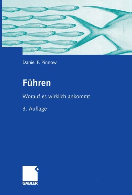 Daniel F. Pinnow - Führen, E-bok