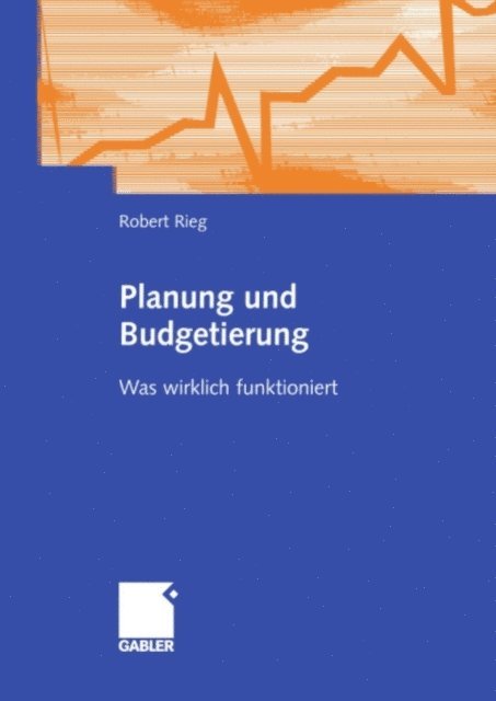 Robert Rieg - Planung und Budgetierung, E-bok