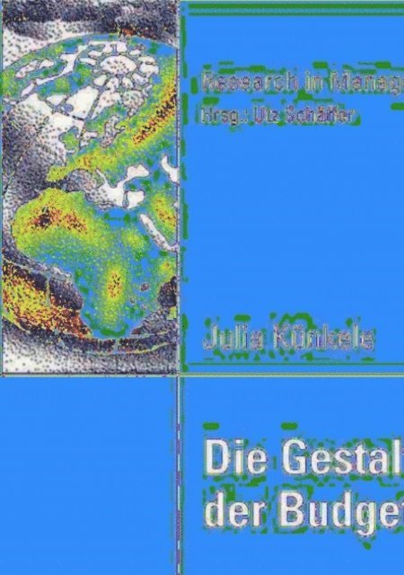 Julia Kunkele - Die Gestaltung der Budgetkontrolle, E-bok