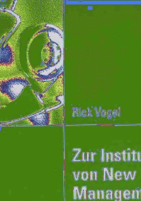 Rick Vogel - Zur Institutionalisierung von New Public Management, E-bok