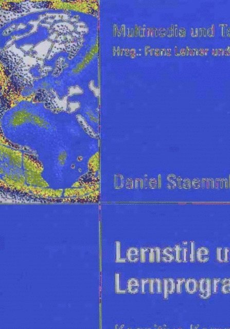 Daniel Staemmler - Lernstile und interaktive Lernprogramme, E-bok